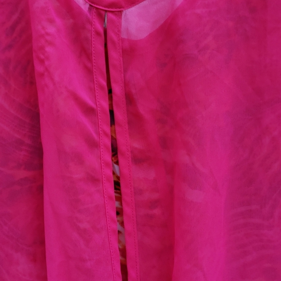 Sheer Blouse - Picture 5 of 6